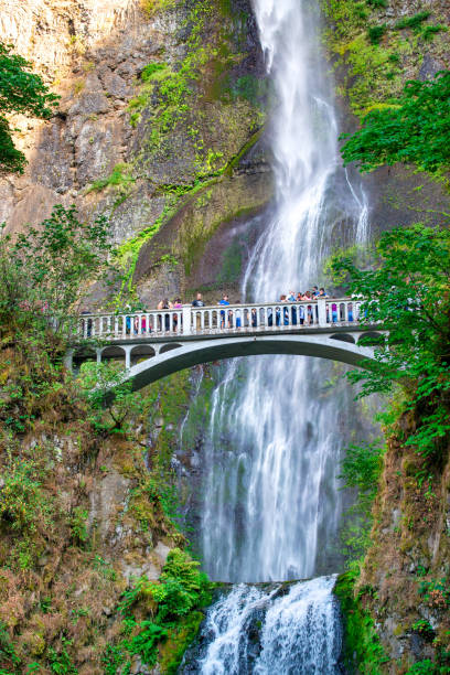 Road trip stop to Multnomah Falls in Oregon