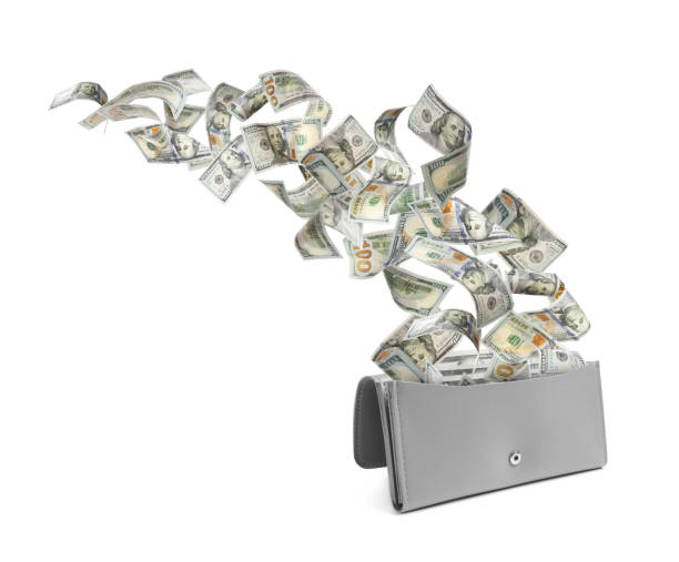 istock Dollar banknotes flying out from purse on white background 1824799667