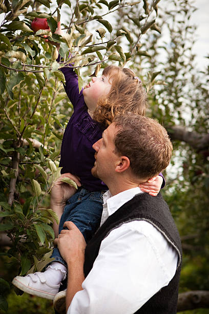 istock Father Helping Daughter Reach an Apple on Tree in Orchard 182480332