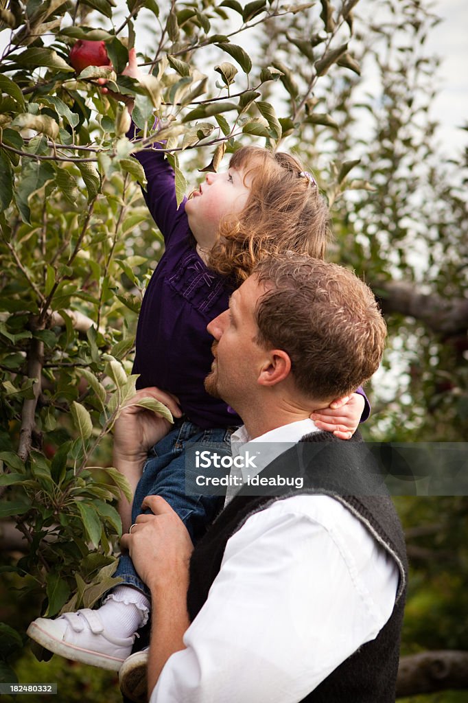 Filha de PAI ajudando a uma maçã em árvore na Orchard - Foto de stock de Família royalty-free