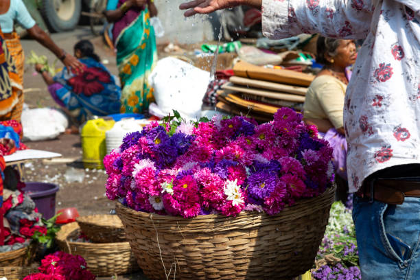 22nd January, 2020 - Mumbai, India: This editorial image captures the lively and colourful atmosphere of a flower market in Mumbai, bustling with activity. The market is a sensory delight, filled with various flowers' vibrant hues and fragrances, from marigolds and roses to jasmine and lotuses. The people in the photograph, comprising of both sellers and local buyers, are engaged in the vibrant trade that characterises this market. Sellers are seen arranging their floral wares creating eye-catching displays, while locals browse and select flowers for various purposes, from religious rituals to personal and home decoration. The image aims to depict the integral role of the flower market in Mumbai's daily life, highlighting the cultural significance of flowers in India and the market's place as a hub of commerce and community interaction.