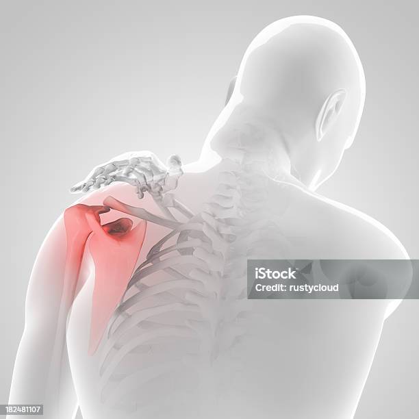 Graphic Anatomical Illustration Of Male With Pained Shoulder Stock Photo - Download Image Now