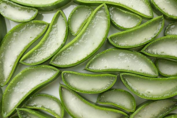 istock Fresh aloe vera slices on white background, flat lay 1824812487