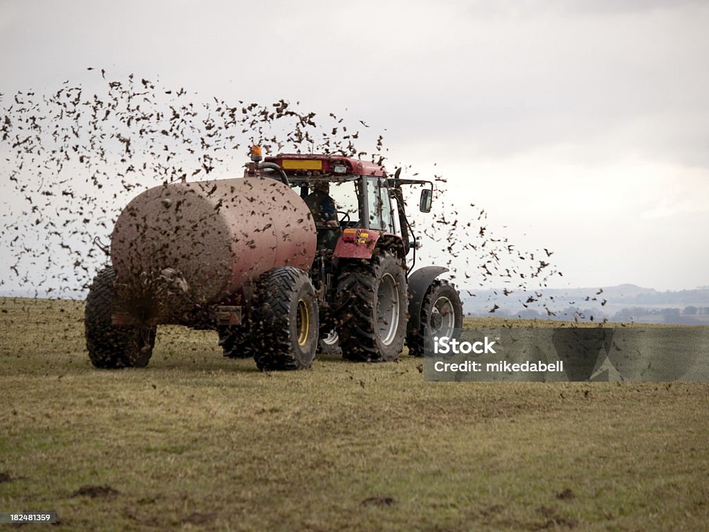 Muck Aufstreichen - Lizenzfrei Traktor Stock-Foto