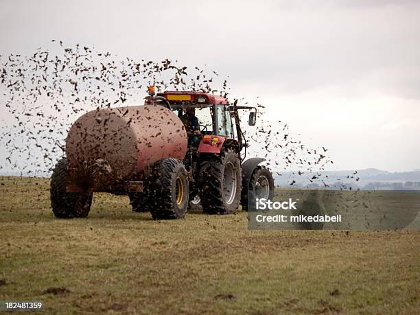 Muck Propagação - Fotografias de stock e mais imagens de Trator - Trator, Adubo - Equipamento Agrícola, Estrume