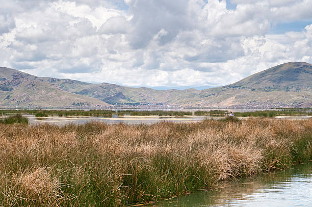 istock Lake Titicaca in Peru 182483258