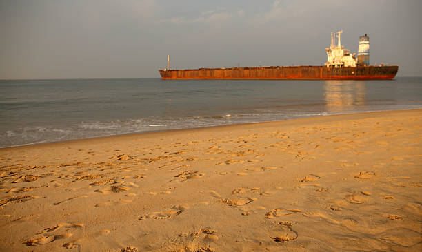 비치 칸돌림 - colva beach 뉴스 사진 이미지