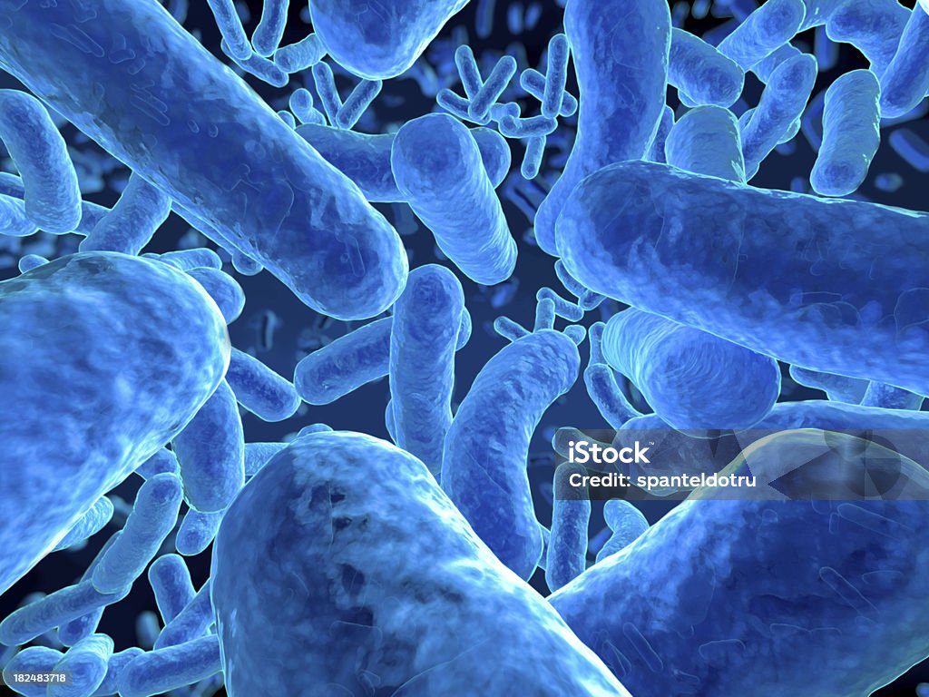 Mikrobów, zbliżenie - Zbiór zdjęć royalty-free (Bakteria)