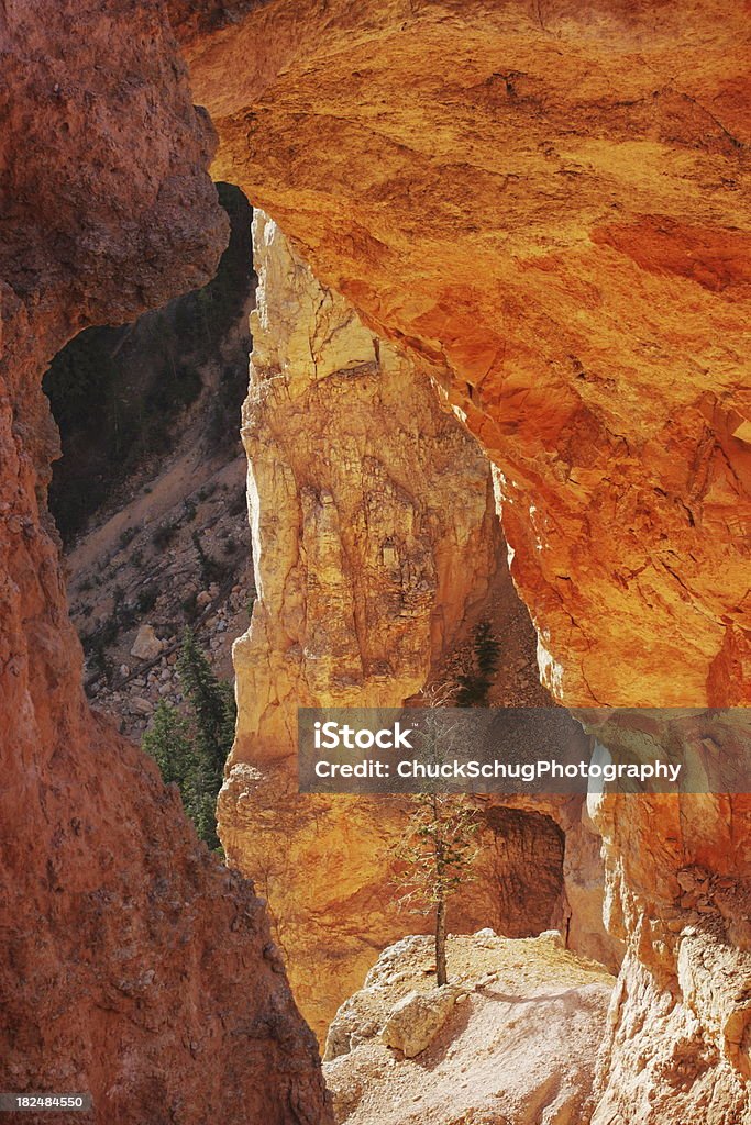 Pin de Bryce Canyon Rock - Photo de Abstrait libre de droits