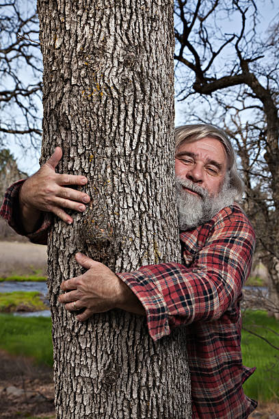 木こりツリー hugger - 木を抱く ストックフォトと画像
