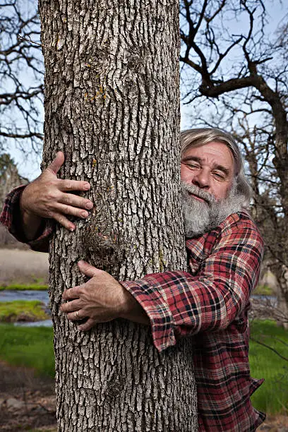 Photo of Lumberjack Tree Hugger