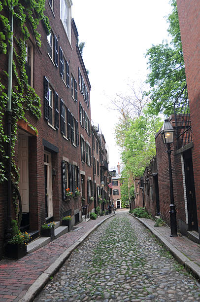 istock Acorn Street in Boston 182484707