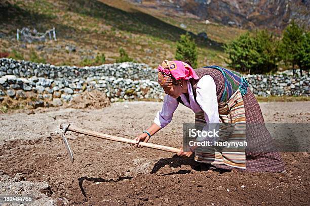 네팔 여성 작업 현장에서 65-69세에 대한 스톡 사진 및 기타 이미지 - 65-69세, 경관, 고독-개념