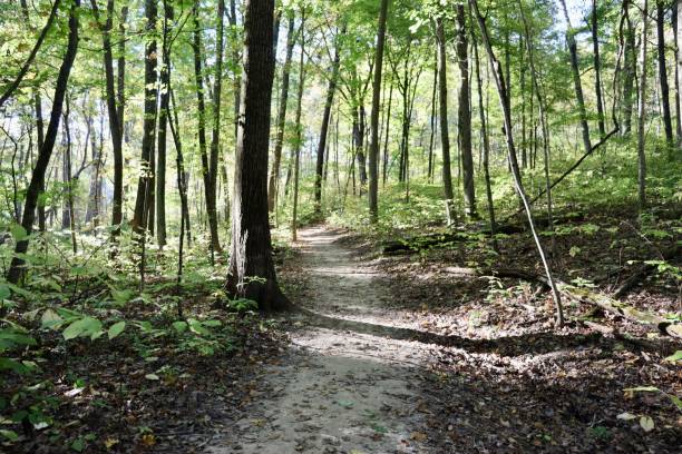 istock Dirt Hiking Trail 1824849526