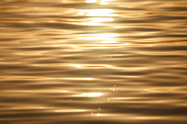 istock Golden Water at Sunrise 182485327