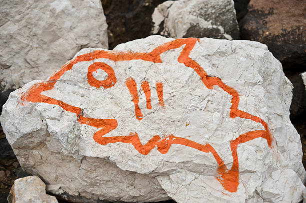 Shark Painting on Stone stock photo