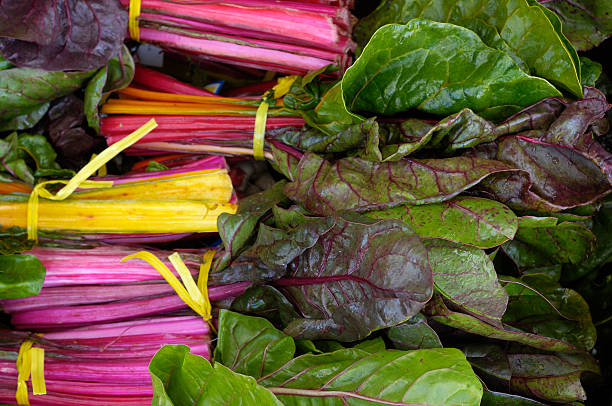 istock Organic Rainbow Chard Ready for Shipping 182486079