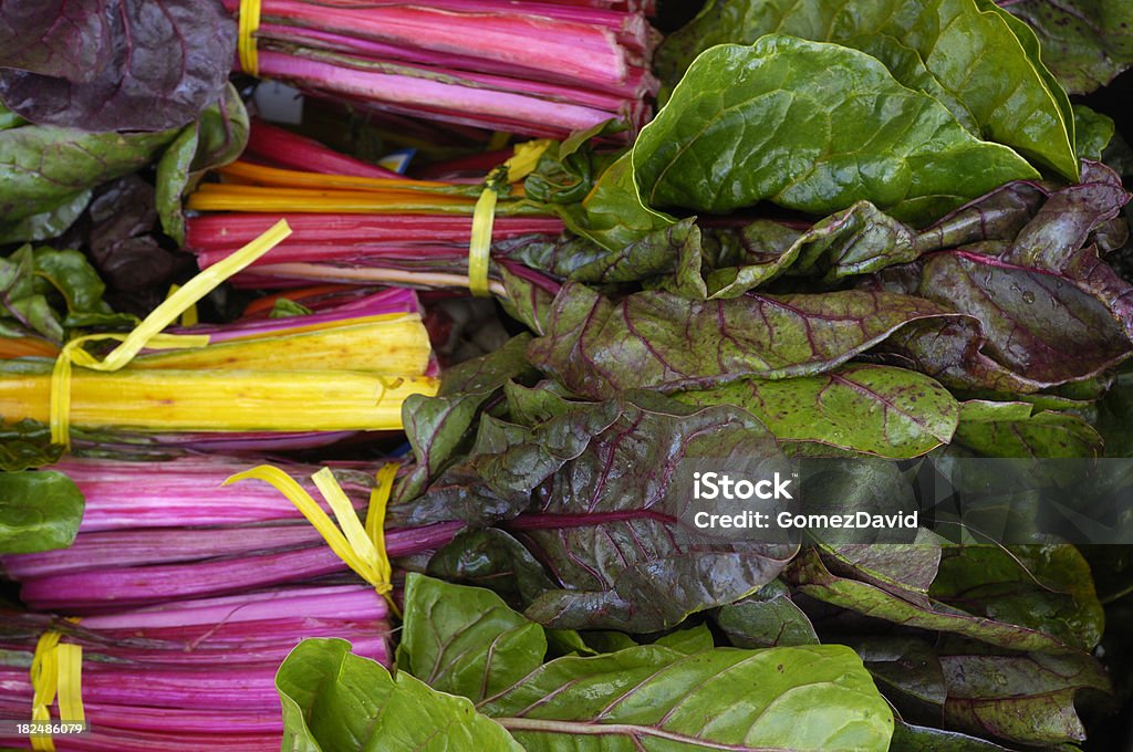 Organic Rainbow Chard Ready for Shipping "Box of organic rainbow chard (Beta vulgaris) packed in a carton ready for shipping to market.Taken in Watsonville, California, USA.Please view related images below or click on the banner lightbox links to view additional images, from related categories." Agriculture Stock Photo