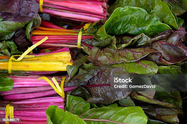 Organic Rainbow Chard Ready For Shipping Stock Photo - Download Image Now - Agriculture, Chard, Close-up