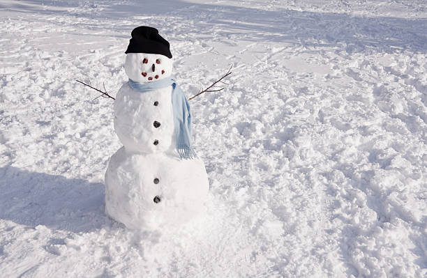 istock Snowman in snowy field with a hat and scarf 182486437