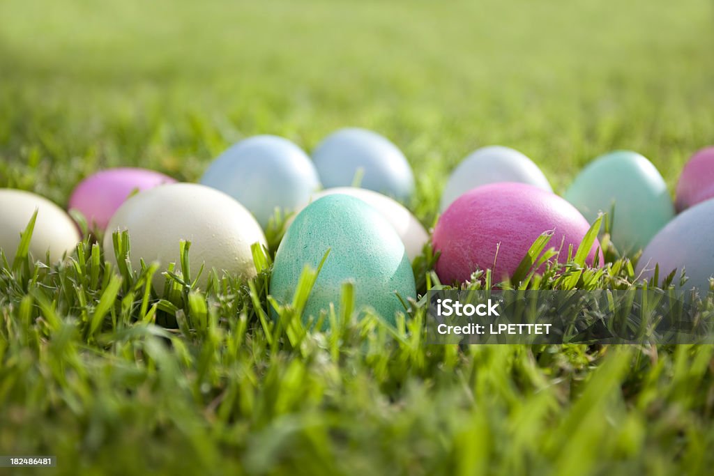 Easter Eier - Lizenzfrei Gras Stock-Foto
