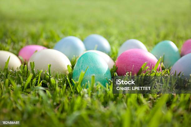 Easter Eier Stockfoto und mehr Bilder von Gras - Gras, Ostereiersuche, Osterei