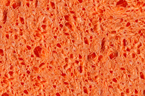 Orange Natural Sponge Texture, Front View, Full Frame, all Focus stock photo
