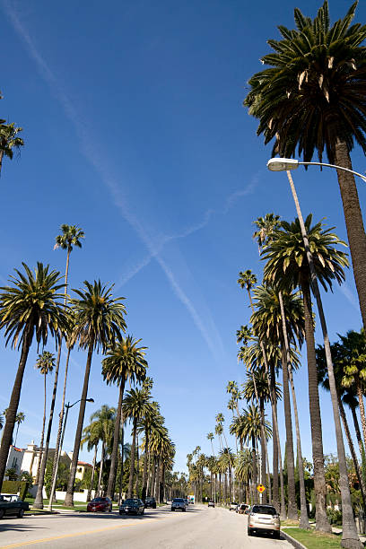istock Beverly Hills street 182487495