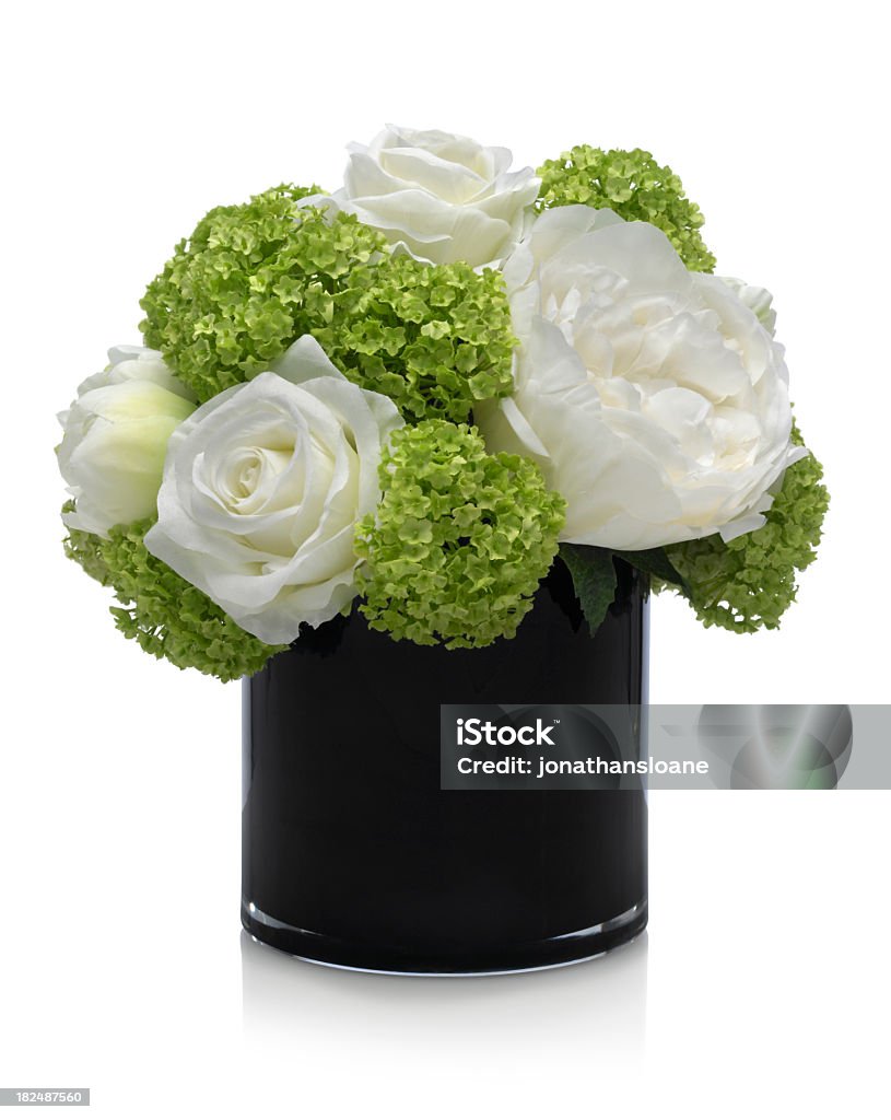 Rose, Camellia and Hydrangea bouquet on white background A white rose and camellia bouquet with accents of green hydrangea in a cylindrical black glass vase. This image has an embedded path which may be used to delete the reflection if desired. Photographed on a bright white background. Extremely high quality faux flowers. Vase Stock Photo