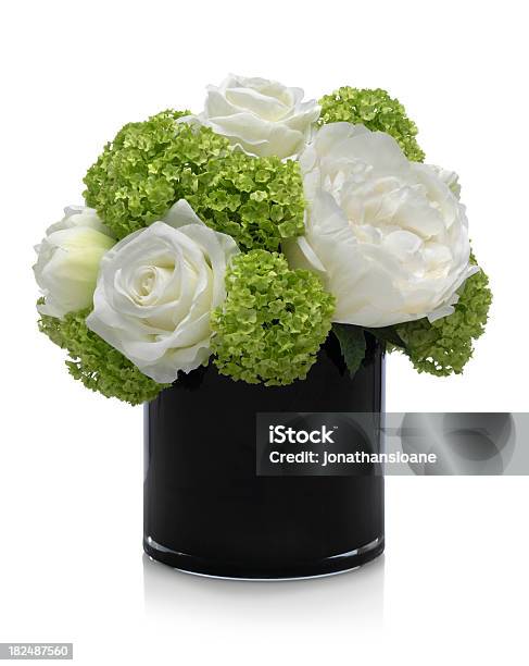 Rose Camellia And Hydrangea Bouquet On White Background Stock Photo - Download Image Now