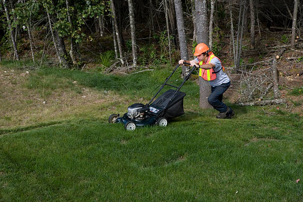 istock Man Mows Grass Wearing Safety Equipment 182487924