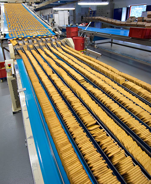 istock Modern Food Factory  Production Line 182488143