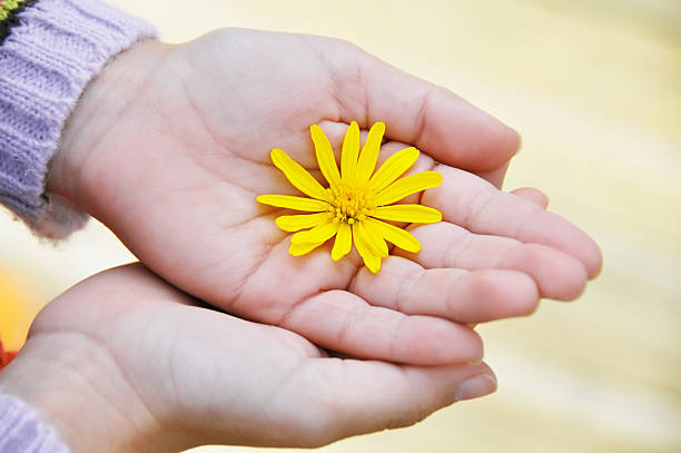 istock Girl's hand holding a daisy 182488703