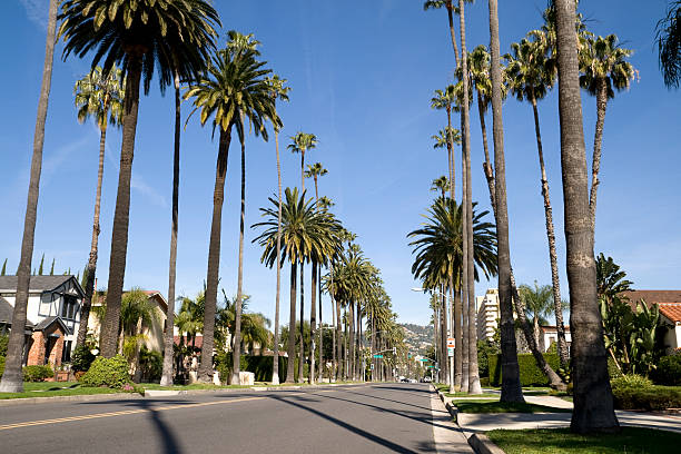 istock Beverly Hills neighborhood 182488923