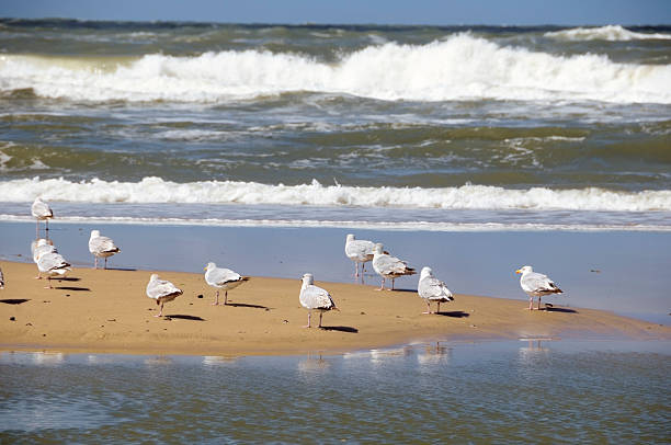 istock Stormy North Sea 182488999