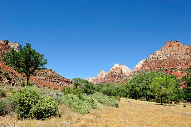 istock Beautiful Zion Landscape 182489110
