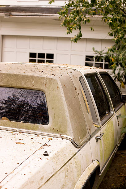 istock Old, rusty and abandoned american retro car. 182489391