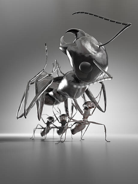 공동 작업 - teamwork ant cooperation challenge 뉴스 사진 이미지
