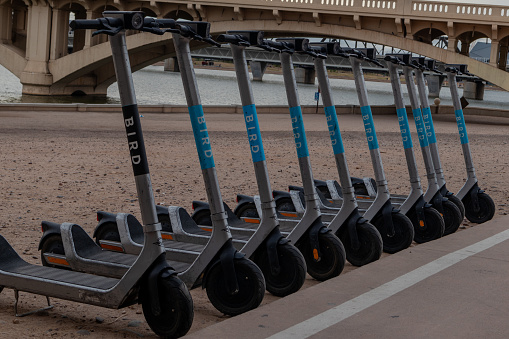 Tempe, AZ, USA, 11-30-23. Multiple Bird electric scooters for rent lined up by Tempe Town Lake and pedestrian path