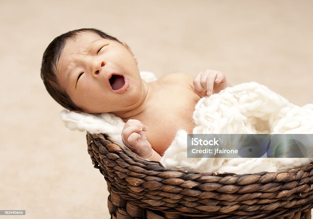 Recién nacido bebé en cesta-bostezar - Foto de stock de Alerta libre de derechos