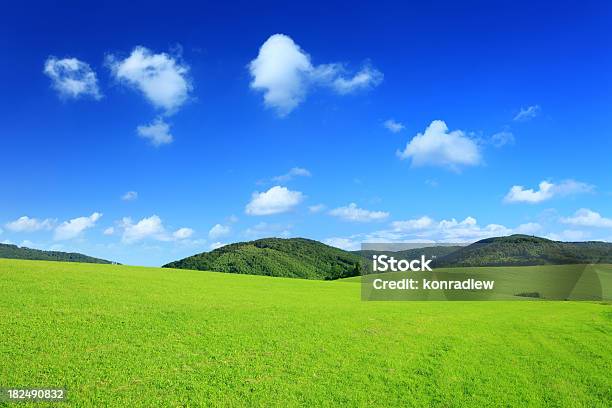 Paesaggio Di Montagnaverde Campo Xxxl - Fotografie stock e altre immagini di Montagna - Montagna, Conservazione ambientale, Cielo