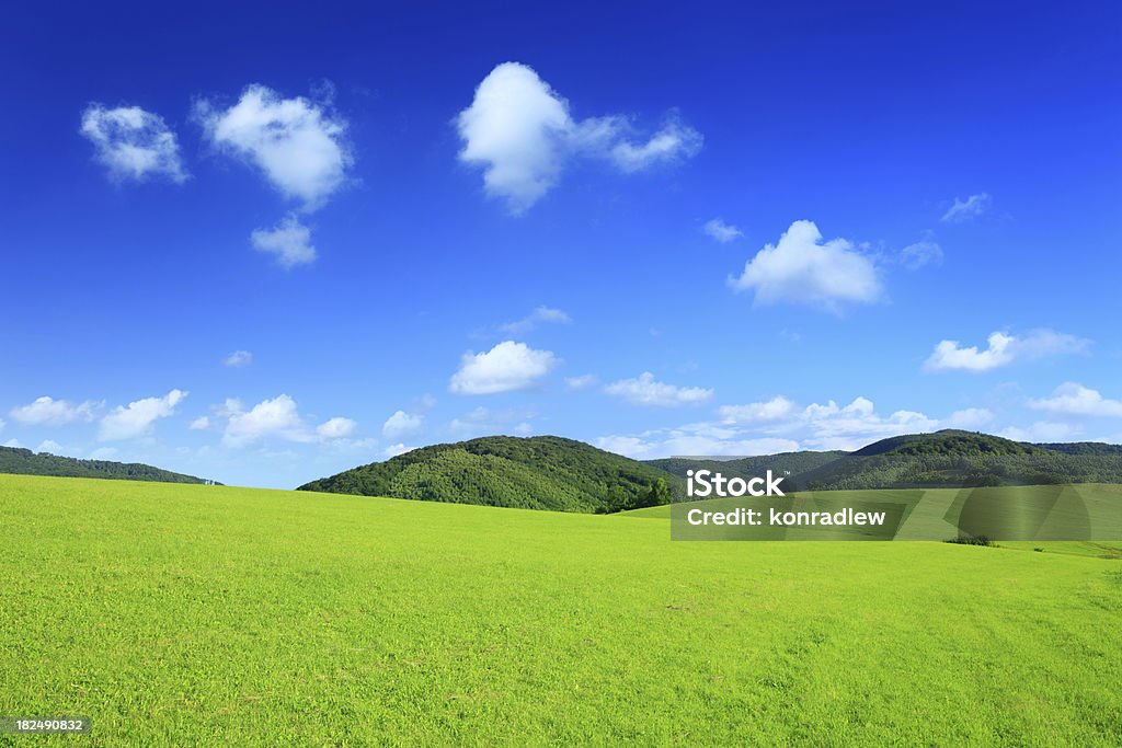 Mountain landscape - green field XXXL  Mountain Stock Photo