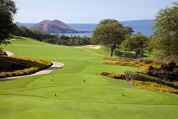 Landscape photo of a golf course stock photo