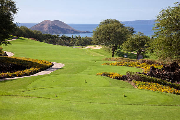 paisagem de golfe - tee box imagens e fotografias de stock