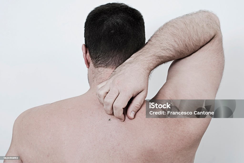 Moskito auf ein Mann's back - Lizenzfrei Rückansicht Stock-Foto