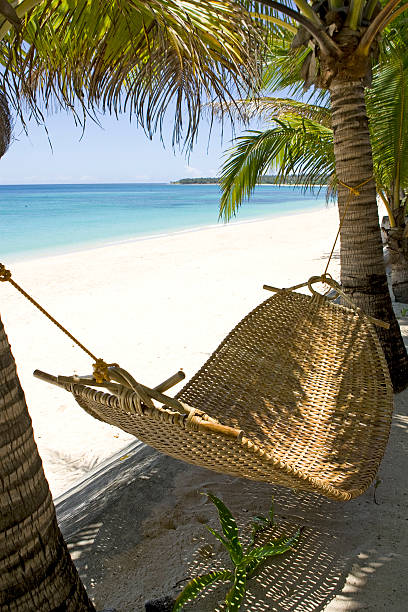 istock Rattan Hammock in Paradise 182490918