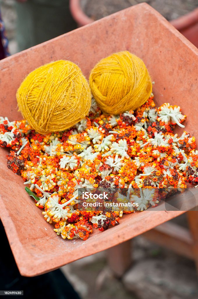 Zutaten sowie natürlichen Farben - Lizenzfrei Blüte Stock-Foto