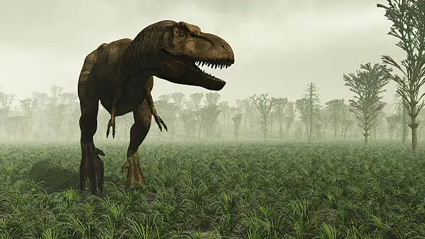 T-rex in the wild. Prehistoric accurate Horsetail carboniferous trees.