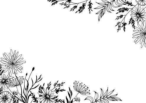 Floral frame with decorative wildflowers. Hand drawn black and white vector illustration.