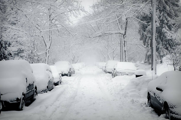 ブリザード - 吹雪 ストックフォトと画像